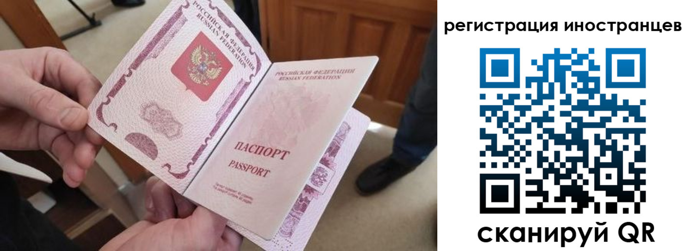 прописка ребенка в Волосово